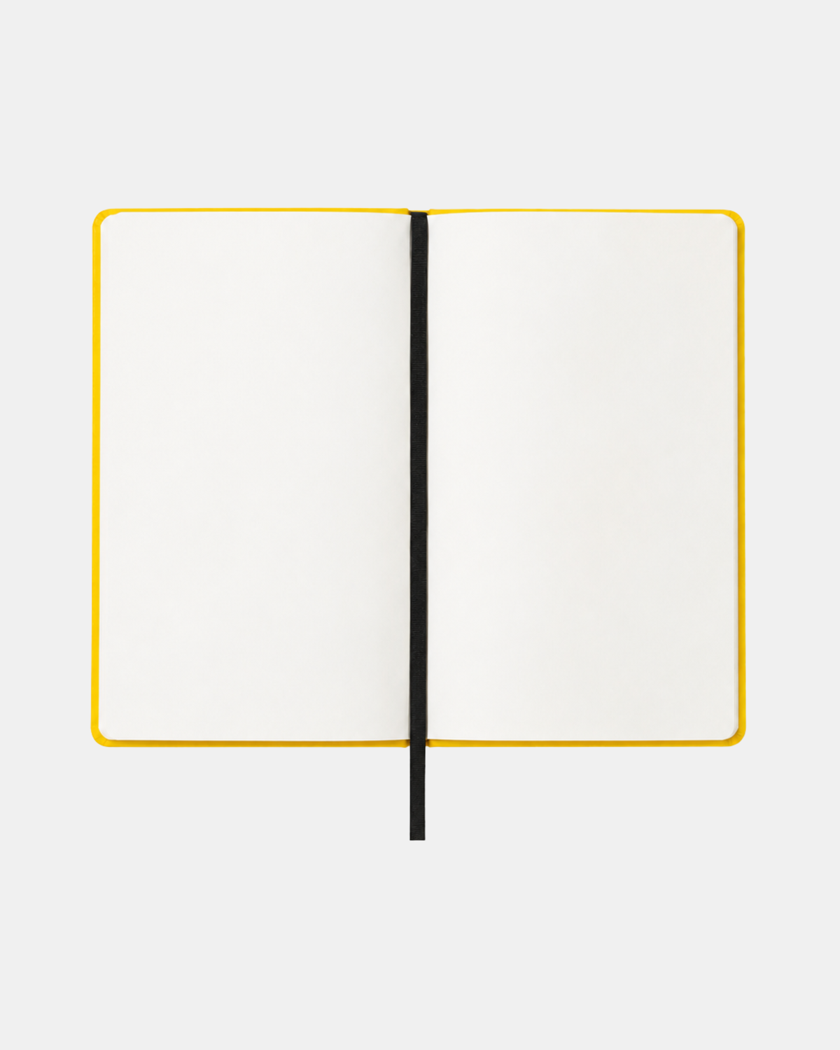 Signature Set Yellow Bee
